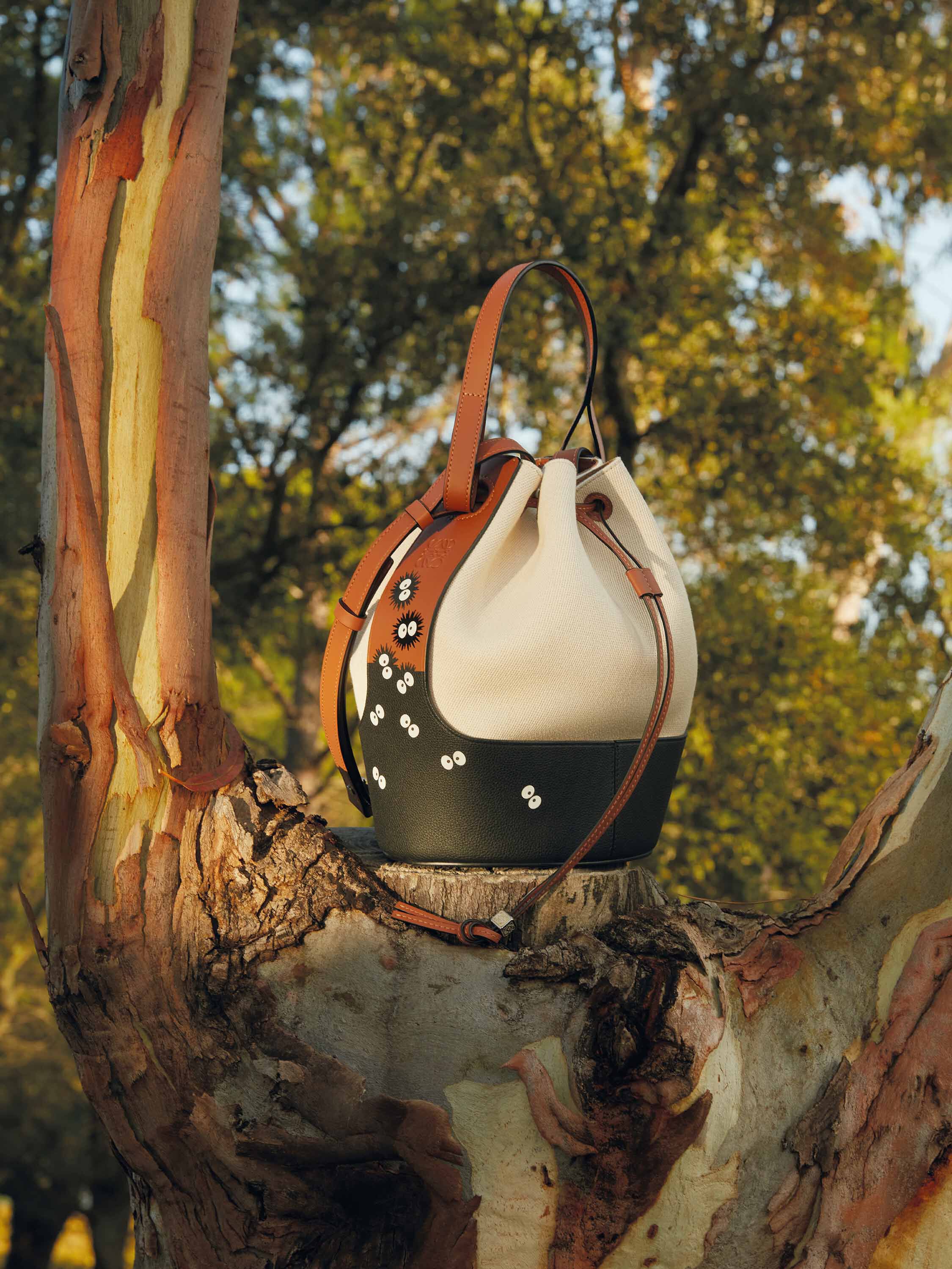 Totoro loewe bag on sale